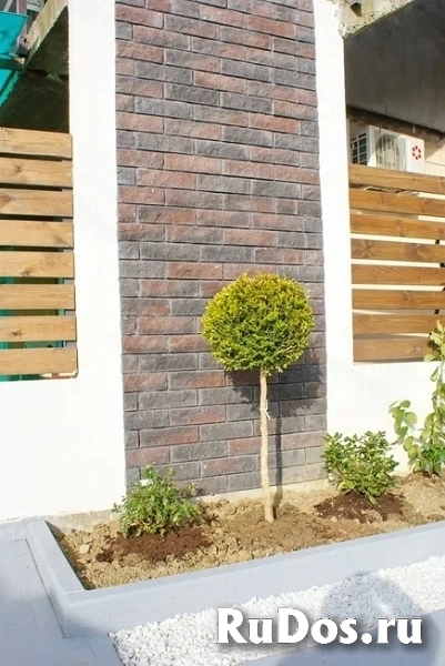 Готовый коттедж в Адлере изображение 4