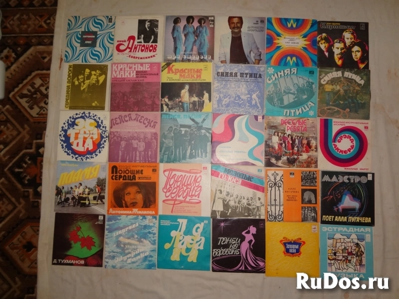 Пластинки виниловые изображение 6