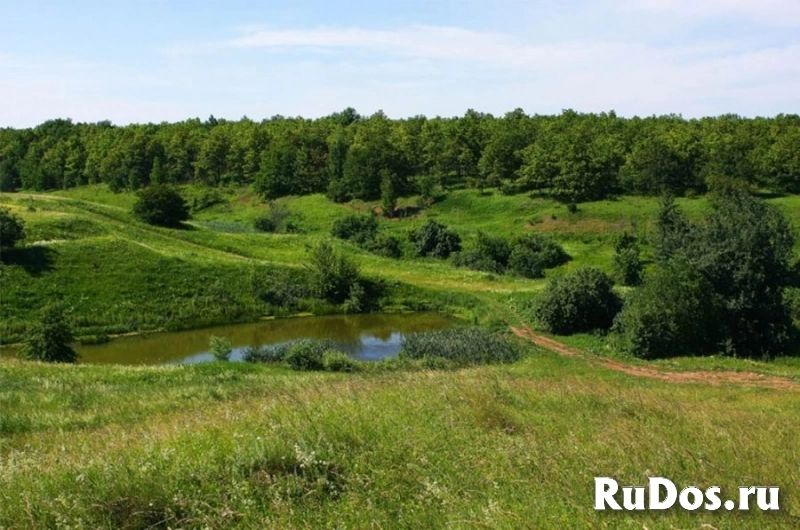Земля ИЖС под строительство поселка у реки изображение 6