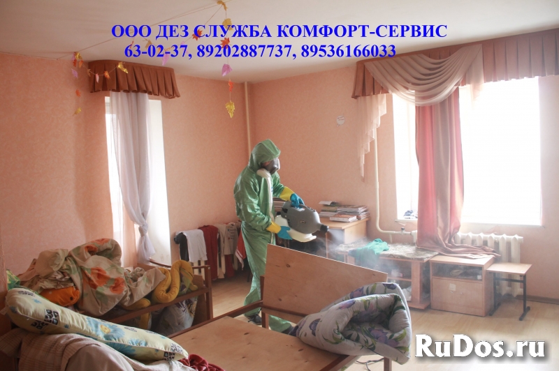 Уничтожение клопов с сервисным обслуживанием 13 месяцев фотка