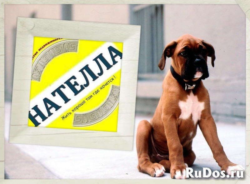 Предпродажная подготовка загородной недвижимости фото