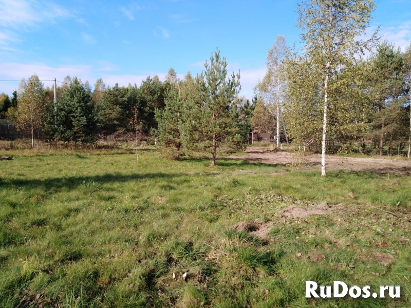 Земельный участок с домом на реке. Север Подмосковья изображение 3