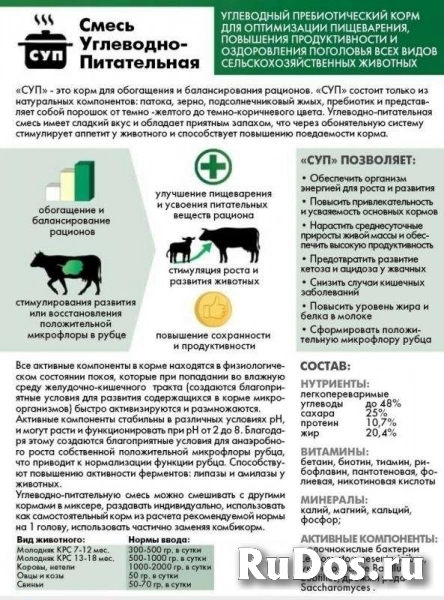 Патока свекловичная (сухая патока от 10т) для увеличения молочной продуктивности коров фотка