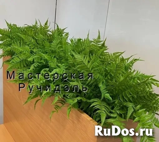 Искусственные растения для офиса, фито-композиции на заказ изображение 5