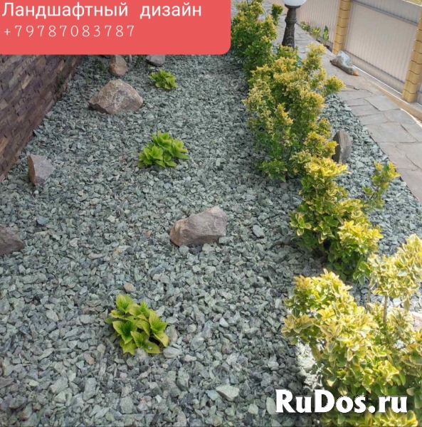 Консультации ландшафтного дизайнера изображение 3