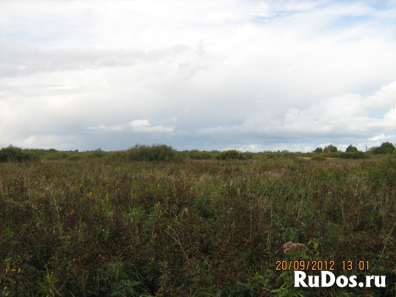 Продаётся земельный участок сельхоз. назначения площадью 10 га изображение 3