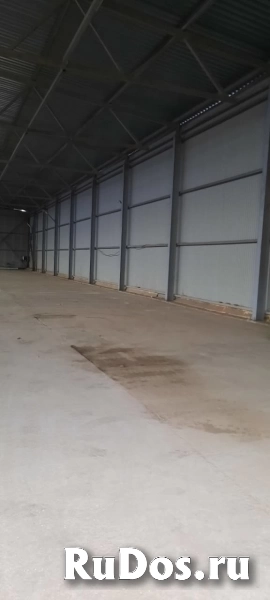 Сдам коммерческую недвижимость 1000 м2 фотка