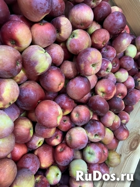 Яблоко Либерти фотка