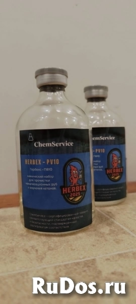 Гербекс пв10 (HERBEX PV10) от ChemService - чистка труб фотка