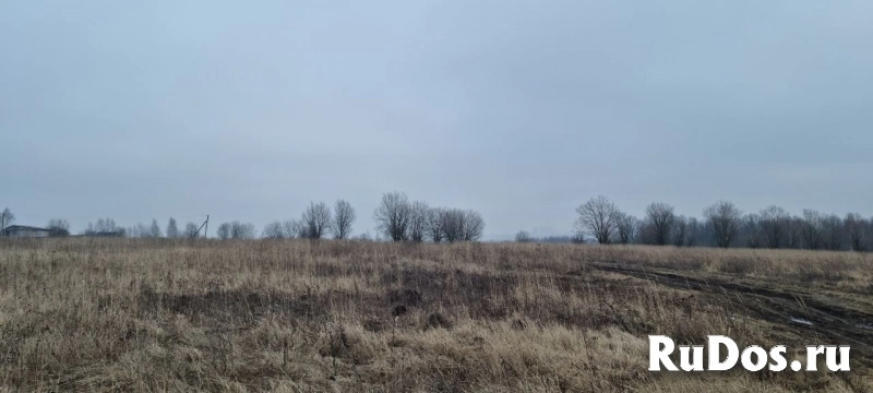 Продам участок 1801 сот. изображение 3