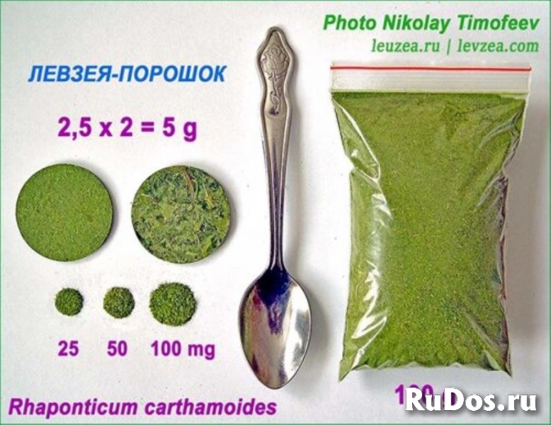 Левзея с экдистероном от производителя Порошок изображение 4