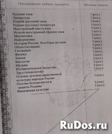 Репетитор по английскому, подготовка к ОГЭ изображение 3