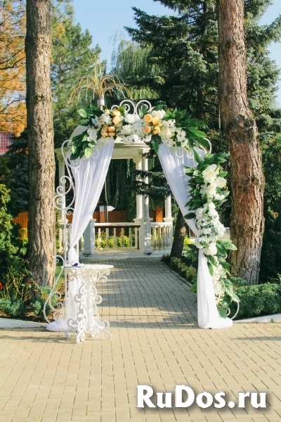 Фотограф видеограф изображение 10