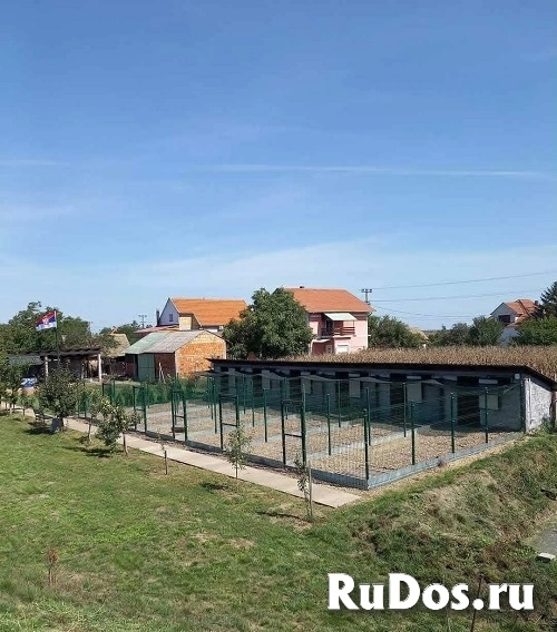 Дом в Дече, Сербия изображение 3