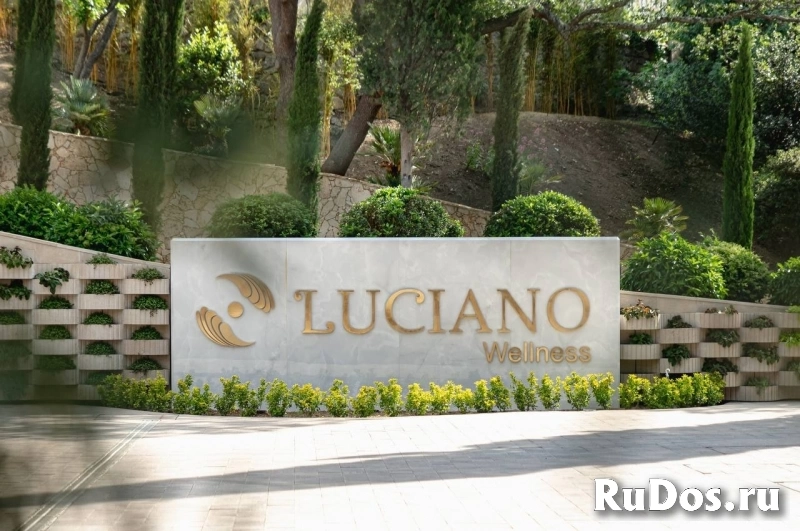 Бухгалтер-калькулятор фото