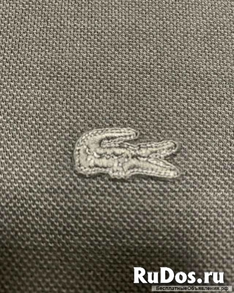 Свитшот мужской Lacoste изображение 5