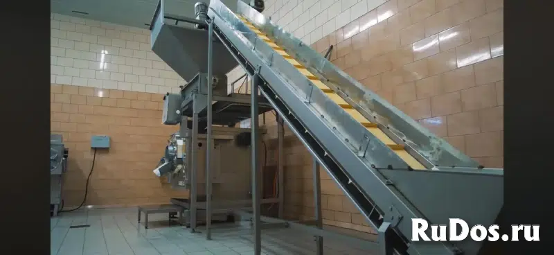 Сепаратор BAADER 605 E с транспортером подачи и приемным бункером изображение 3