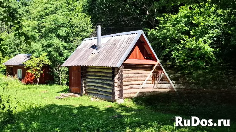 Домик с баней на очень уютном хуторе в лесном массиве фотка