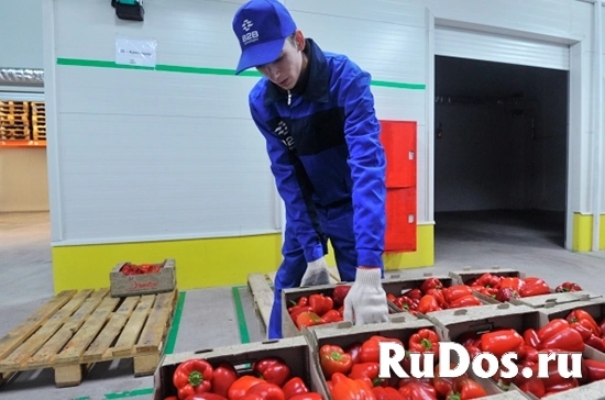 Ночной грузчик фото