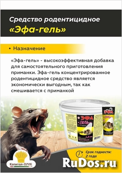 Эфа гель для приготовления отравы от крыс и мышей. фото