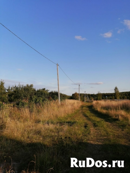 Земельный участок в Афанасово 40 соток изображение 6