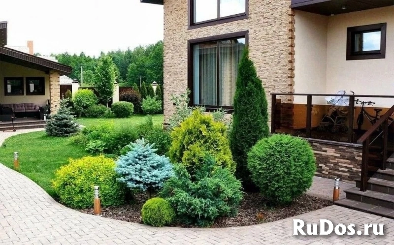 Озеленение, ландшафтный дизайн в Санкт-Петербурге фотка