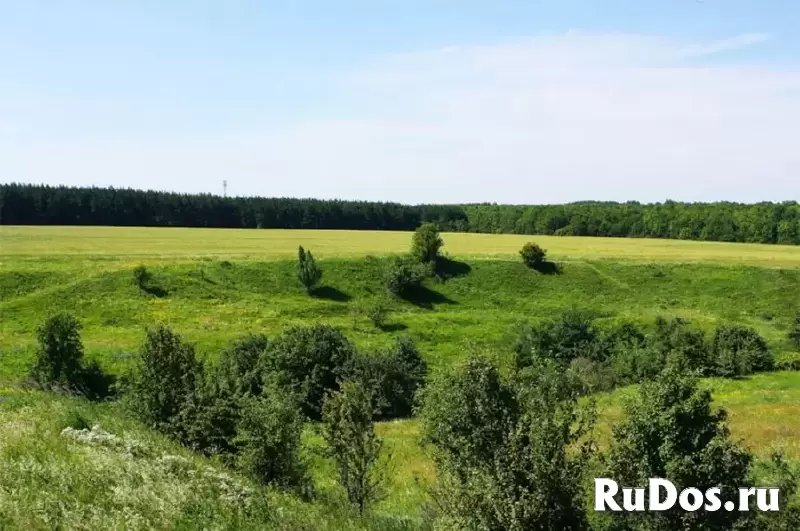 Земля ИЖС у реки Дон под коттеджный поселок изображение 10