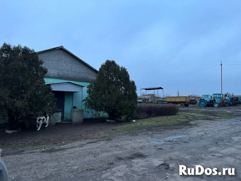 Агрохозяйство 4500 м.кв,Старобешево фотка