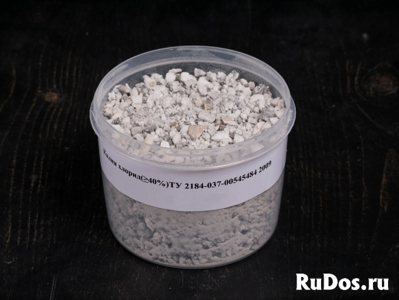 , купить растения фото