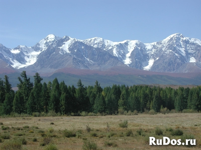 Автопутешествие по Чуйскому тракту изображение 6