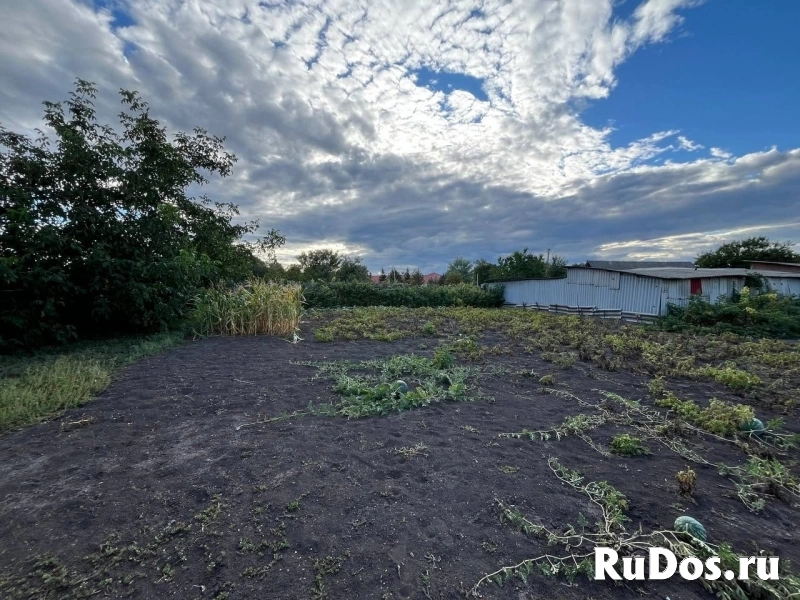 Дом в Грушевке! изображение 9