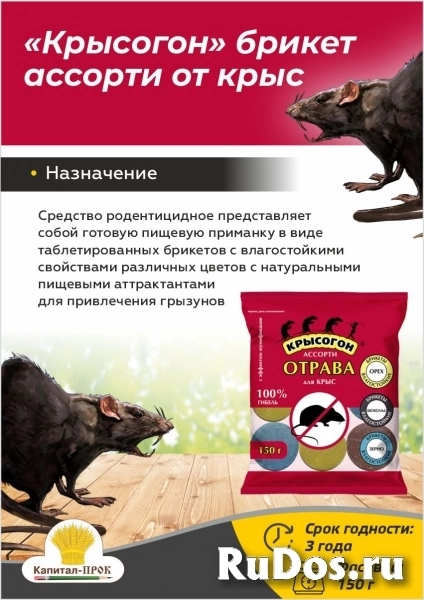 Крысогон ассорти 150г отрава от крыс и мышей. фото