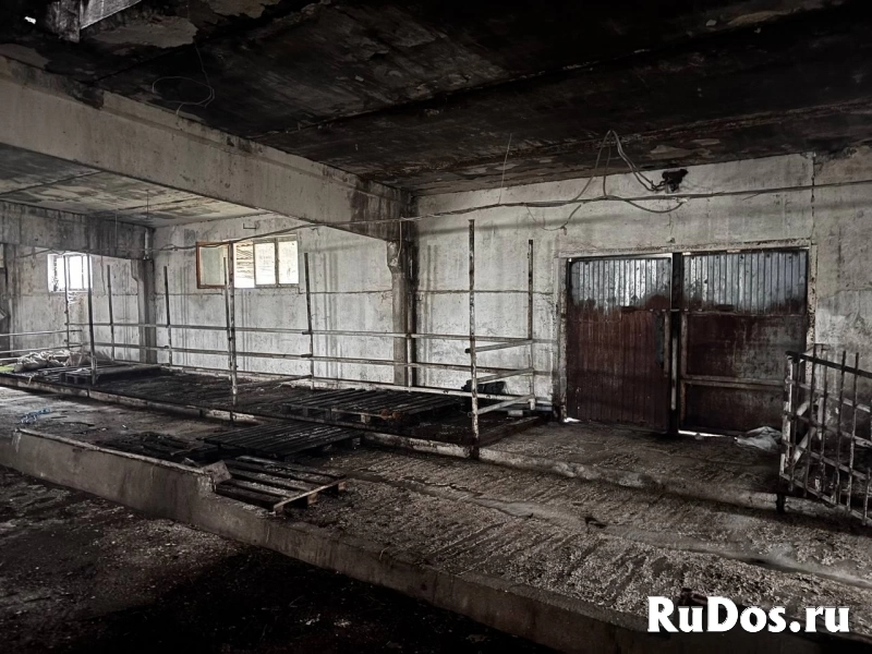 Сдам коммерческую недвижимость 1050 м2 изображение 7