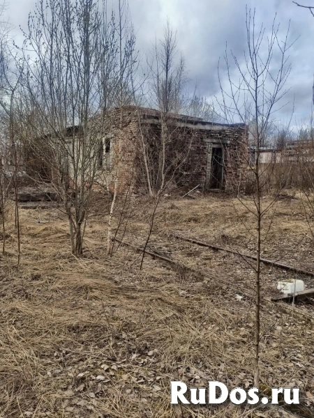 Коммерческий объект в Пскове изображение 8