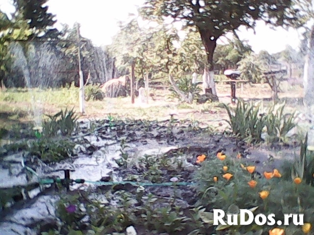 Жилой двухэтажный дом,кухня,флигель и другие хоз.постройки на 30 сотках. изображение 9