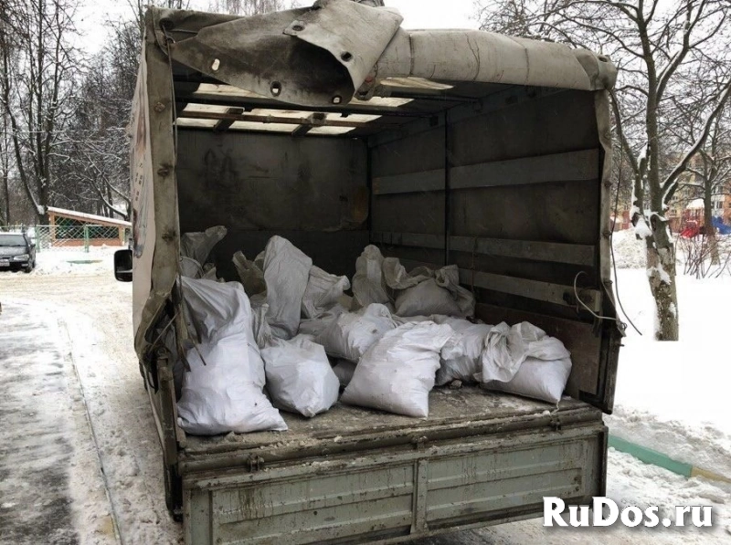 Аренда контейнера для вывоза мусора изображение 3