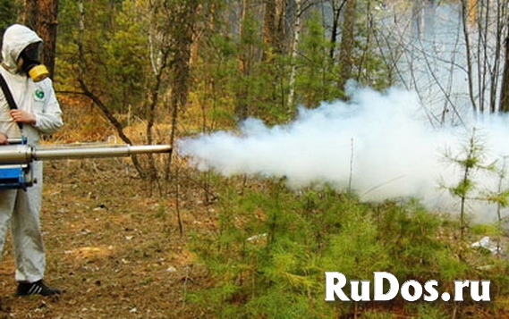 Клещи и Осы обработка дачных земельных участков фотка