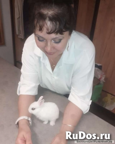 Кролики от Крёстной Золушки фотка