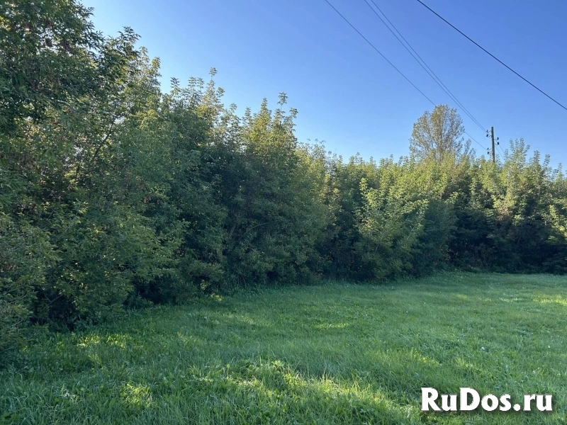 Продам коммерческую недвижимость 536 м2 изображение 7