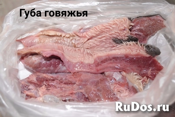 Обрезь говяжья изображение 5