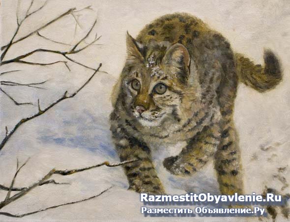 Художественная школа для взрослых Артика. изображение 5