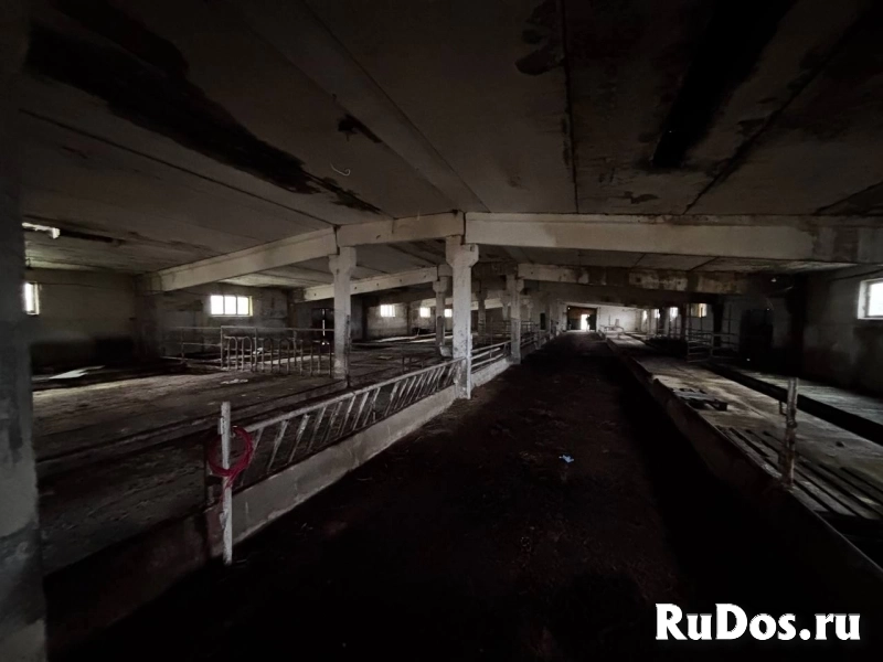 Сдам коммерческую недвижимость 1050 м2 изображение 5