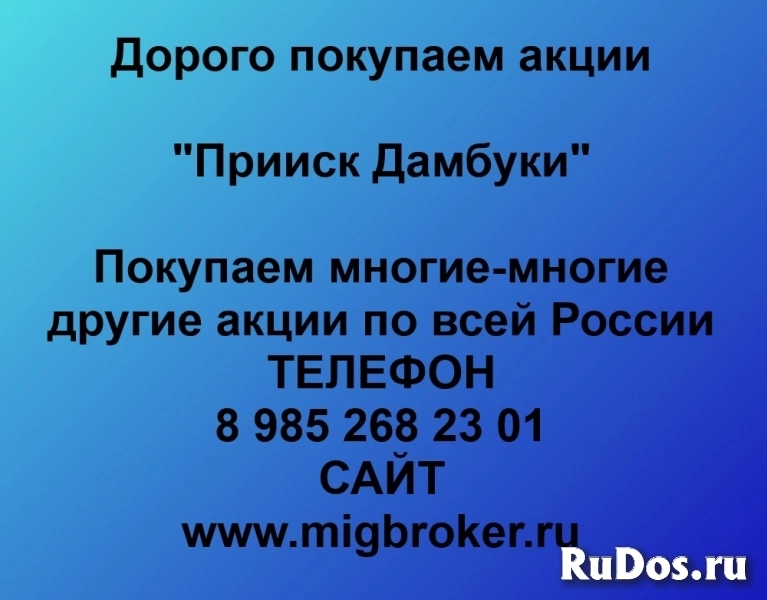 Купим акции «Прииск Дамбуки» фото
