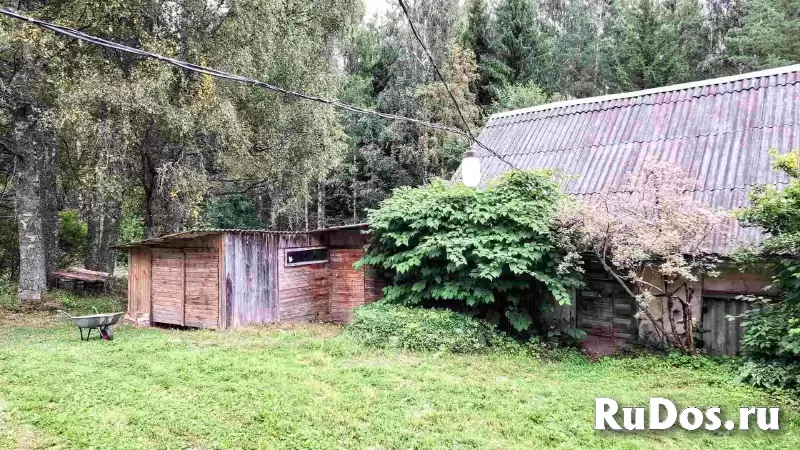 Добротный крепкий дом в лесу на хуторе изображение 3