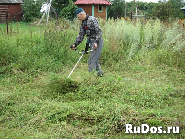 Покос Травы, Бурьяна, Сухостоя изображение 3