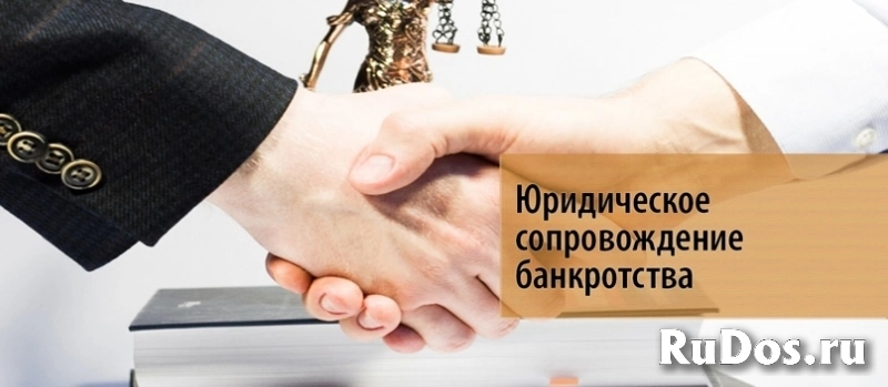 Юрист. Банкротство. гарантия, рассрочка фото