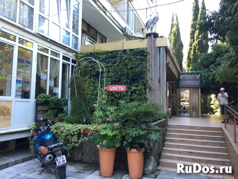 Сочи, Курортный проспект 75к1 изображение 9