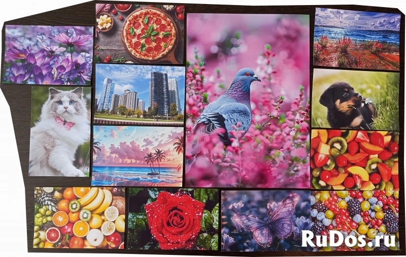 Распечатка фотографий и документов изображение 3