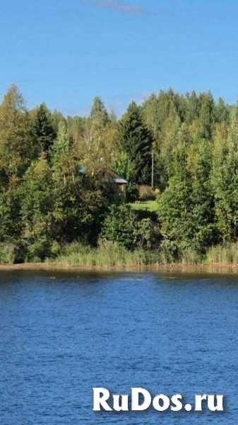 Продам участок 25 соток на первой линии Свири: тишина, природа и статусное место фотка