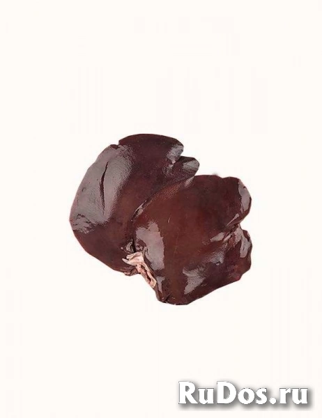 Мясо оптом с доставкой. Собственное производство изображение 5